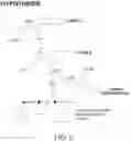 Fig. 07 - Compositions and methods for the treatment of orthopedic ailments