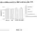 Fig. 09 - Compositions and methods for the treatment of orthopedic ailments