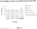 Fig. 10 - Compositions and methods for the treatment of orthopedic ailments