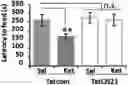 Fig. 01 - Methods for treating depression and major depressive disorder