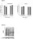 Fig. 03 - Methods for treating depression and major depressive disorder