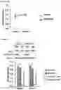 Fig. 08 - Methods for treating depression and major depressive disorder