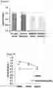 Fig. 16 - Methods for treating depression and major depressive disorder