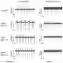 Fig. 04 - Gene therapy strategy to restore electrical and cardiac function, and cardiac structure, in arrhythmogenic right ventricular cardiomyopathy