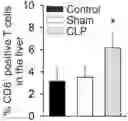Fig. 01 - B7-H1 fusion polypeptides for treating and preventing organ failure