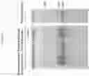 Fig. 05 - Lentiviral vector for treating hemoglobin disorders