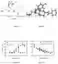 Fig. 07 - Lentiviral vector for treating hemoglobin disorders