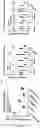 Fig. 07 - MTMR2-S POLYPEPTIDE FOR USE IN THE TREATMENT OF MYOPATHIES