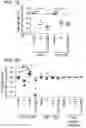 Fig. 08 - NANOPARTICLE-BASED COMPOSITIONS