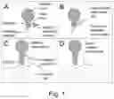 Fig. 02 - Glycosylated analogues of Flavivirus E proteins and their use in diagnostic methods