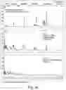 Fig. 07 - Glycosylated analogues of Flavivirus E proteins and their use in diagnostic methods
