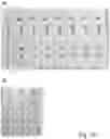 Fig. 23 - Glycosylated analogues of Flavivirus E proteins and their use in diagnostic methods