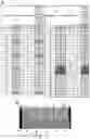 Fig. 30 - Glycosylated analogues of Flavivirus E proteins and their use in diagnostic methods