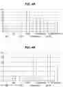 Fig. 06 - Influenza virus reassortment