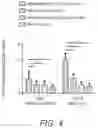 Fig. 05 - Compositions and methods for enhancing immune response to vaccination and improving vaccine production
