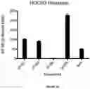 Fig. 40 - Phosphorylated heptose compounds: process for their preparation and use