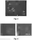 Fig. 04 - Osteoadsorptive fluorogenic substrate of cathepsin k for imaging osteoclast activity and migration
