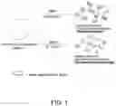 Fig. 02 - COMPOSITIONS COMPRISING MELANIN, AND METHODS OF PREPARING AND USES THEREOF