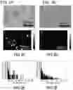 Fig. 03 - COMPOSITIONS COMPRISING MELANIN, AND METHODS OF PREPARING AND USES THEREOF