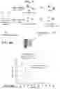 Fig. 04 - COMPOSITIONS COMPRISING MELANIN, AND METHODS OF PREPARING AND USES THEREOF