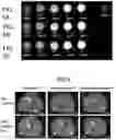 Fig. 05 - COMPOSITIONS COMPRISING MELANIN, AND METHODS OF PREPARING AND USES THEREOF