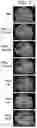 Fig. 06 - COMPOSITIONS COMPRISING MELANIN, AND METHODS OF PREPARING AND USES THEREOF