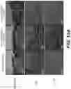 Fig. 12 - Apparatus, method and system for selectively affecting and/or killing a virus