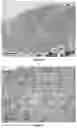 Fig. 11 - BIOARTIFICIAL MEMBRANES HAVING CONTROLLED VISCOELASTICITY AND RIGIDITY FOR USE IN TISSUE ENGINEERING