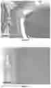 Fig. 12 - BIOARTIFICIAL MEMBRANES HAVING CONTROLLED VISCOELASTICITY AND RIGIDITY FOR USE IN TISSUE ENGINEERING