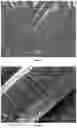 Fig. 02 - METHOD FOR ENDOTHELIALIZING VASCULAR PROSTHESES