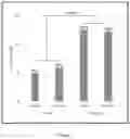 Fig. 06 - NOVEL XENOGRAFT