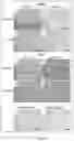 Fig. 08 - NOVEL XENOGRAFT