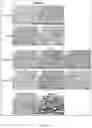 Fig. 09 - NOVEL XENOGRAFT