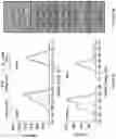 Fig. 03 - Layer by layer coated mesh for local release of bio-active proteins