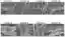 Fig. 04 - Layer by layer coated mesh for local release of bio-active proteins
