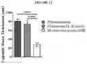 Fig. 15 - Layer by layer coated mesh for local release of bio-active proteins