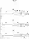 Fig. 19 - Medical device