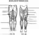 Fig. 07 - Device and system for real-time gait modulation and methods of operation thereof
