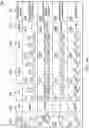 Fig. 16 - Stereognosis training system and method for patients with chronic stroke, spinal cord injury or neuropathy