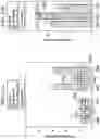 Fig. 25 - Stereognosis training system and method for patients with chronic stroke, spinal cord injury or neuropathy