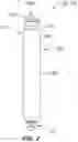 Fig. 04 - LEADLESS PACEMAKERS AND METHODS FOR USE THEREWITH