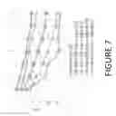Fig. 08 - Using Low Intensity Light Energy To Effect/Alter Tooth Stains