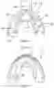 Fig. 04 - Oral training appliance