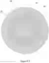 Fig. 08 - GOLF BALLS HAVING A HOLLOW CORE AND INTERNAL SKELETAL STRUCTURE