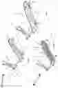 Fig. 03 - Personal transport apparatus