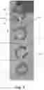 Fig. 05 - Apparatus and method for facilitating fine motor skill improvement