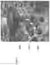 Fig. 10 - Method and apparatus for providing a computer implemented game