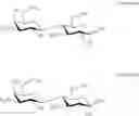 Fig. 09 - Synthesis of oligosaccharides