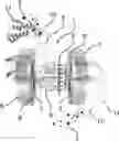 Fig. 01 - Dialysis cell for sample preparation for a chemical analysis method