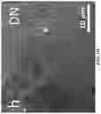 Fig. 09 - Chitosan-graphene oxide membranes